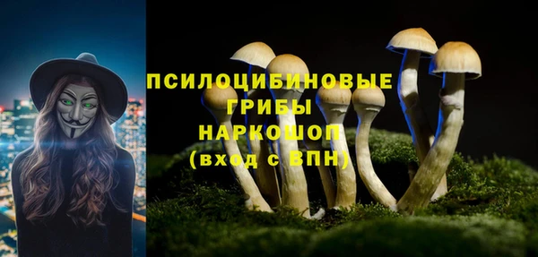 дурь Абаза