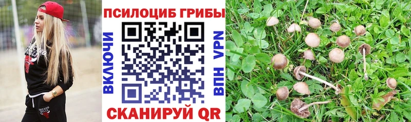Галлюциногенные грибы Magic Shrooms  блэк спрут ONION  Грязи 