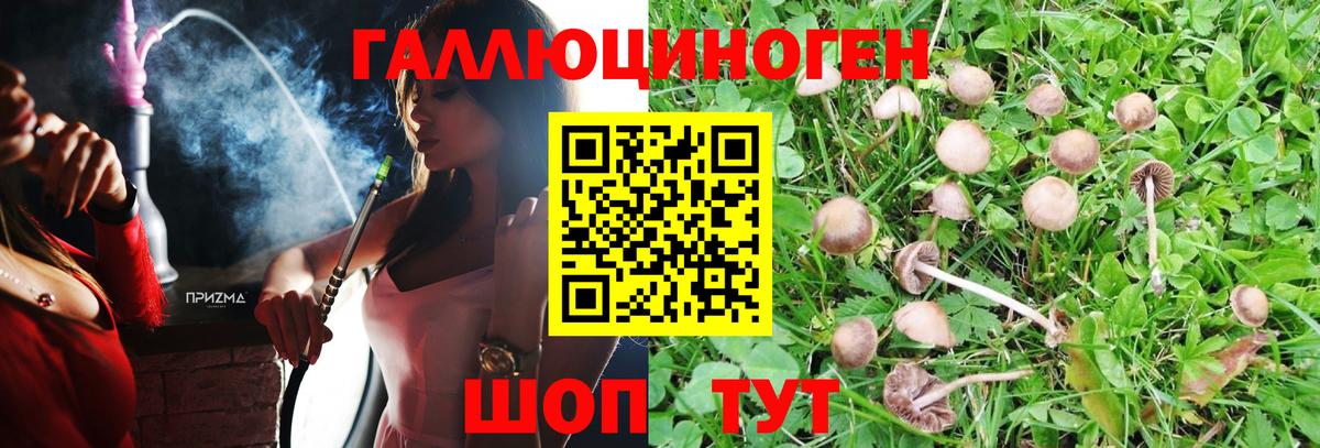 Галлюциногенные грибы Magic Shrooms  Вход с VPN  Псилоцибиновые грибы MAGIC MUSHROOMS  магазин продажи наркотиков  Грязи 